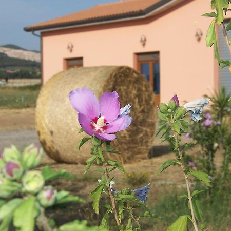 Agriturismo La Nocciolina Venturina Terme Eksteriør billede