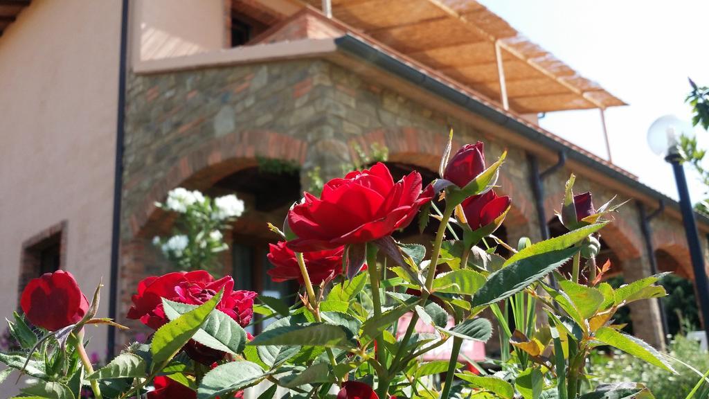 Agriturismo La Nocciolina Venturina Terme Eksteriør billede