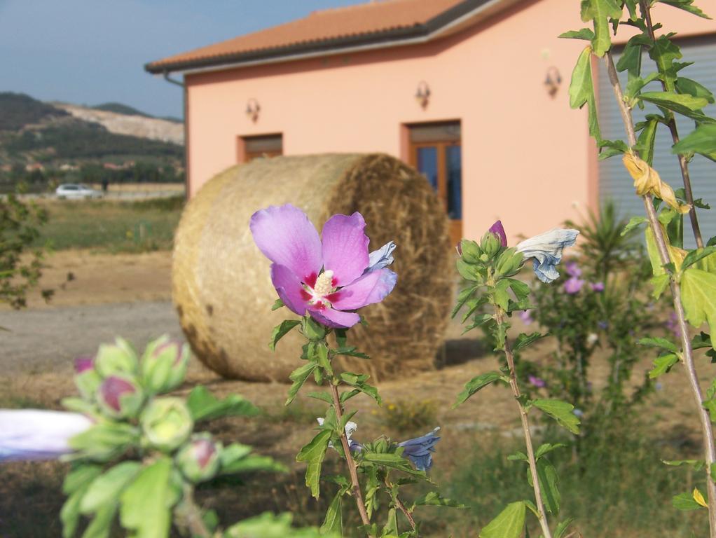 Agriturismo La Nocciolina Venturina Terme Eksteriør billede