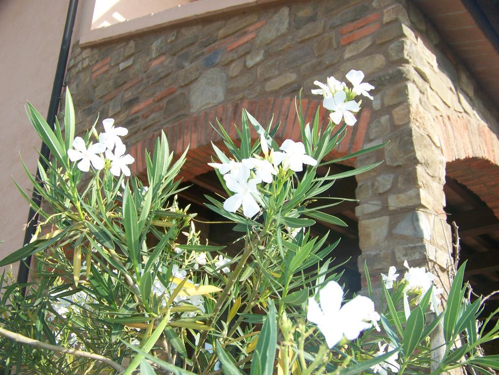 Agriturismo La Nocciolina Venturina Terme Eksteriør billede