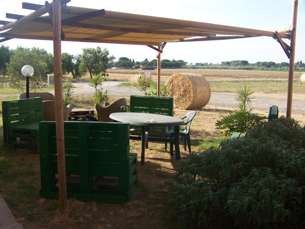 Agriturismo La Nocciolina Venturina Terme Eksteriør billede