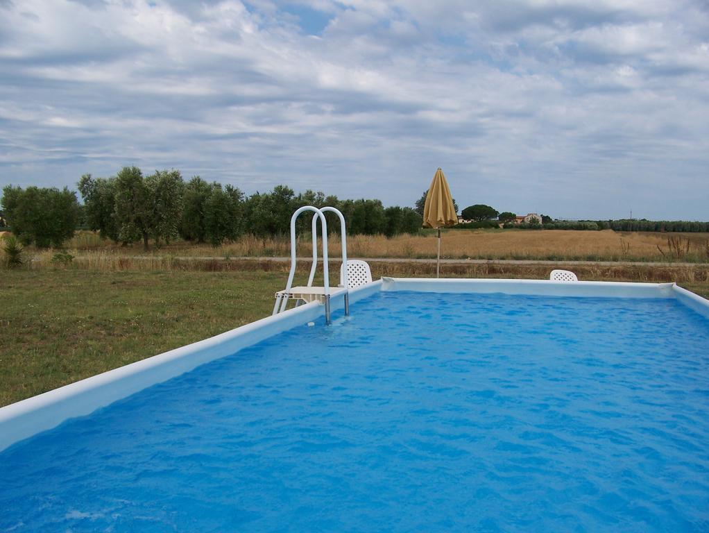 Agriturismo La Nocciolina Venturina Terme Eksteriør billede